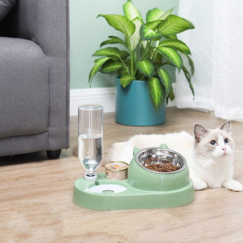 Cat Drinking and Feeding