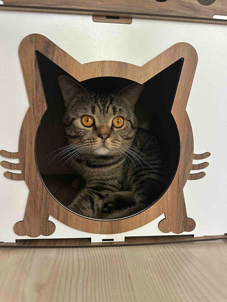 Cat Furniture