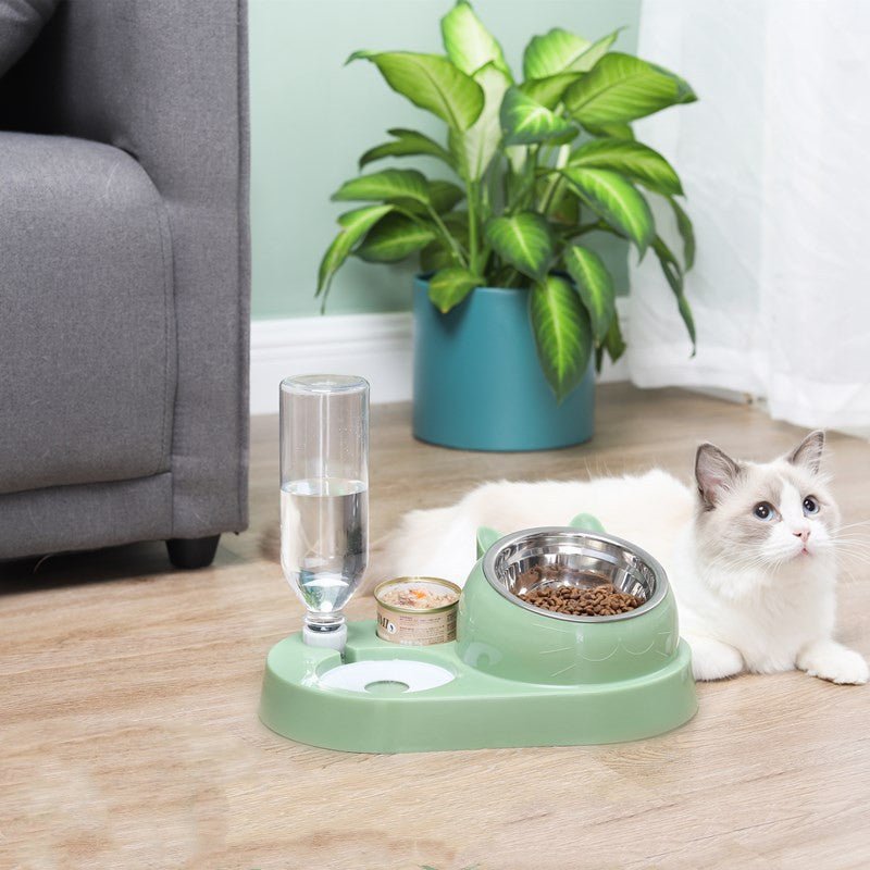 Cat Drinking and Feeding - mapleleafpet