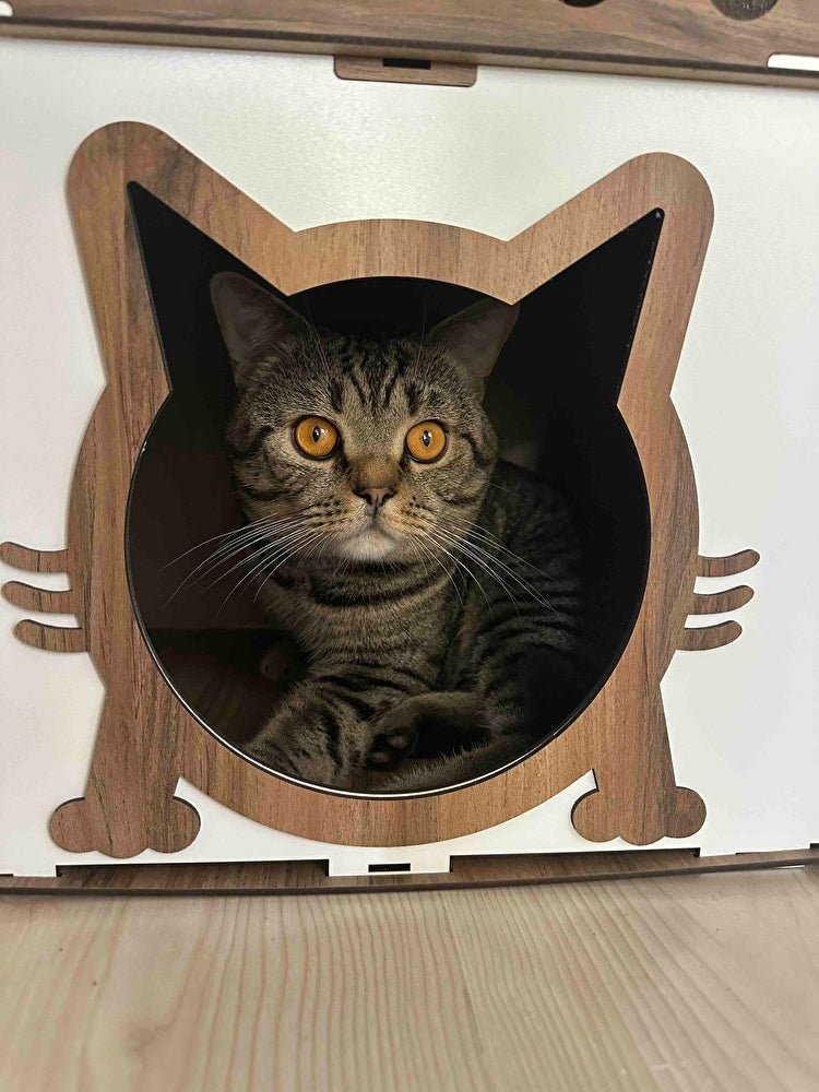 Cat Furniture - mapleleafpet