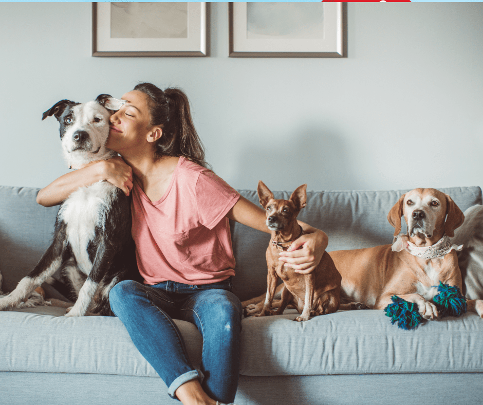 Pet Parent Essentials - mapleleafpet