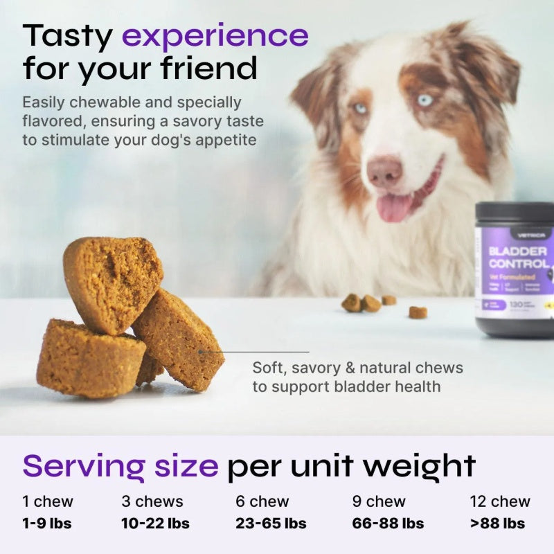 Feeding Dog UTI Treatment Chews – Duck Flavor Cranberry & D-Mannose Supplement for Bladder Control, Urinary Tract & Kidney Health, Incontinence Relief