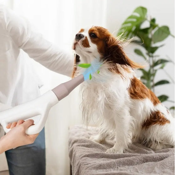 Pet Hair Blower with Negative Ion Function – Adjustable Temperature Dryer for Dogs and Cats care 25