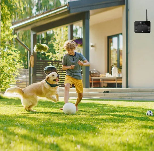 Wireless Electric Dog Fence System – Waterproof Shock Collar with Boundary Containment for Small to Large Dogs ACS40