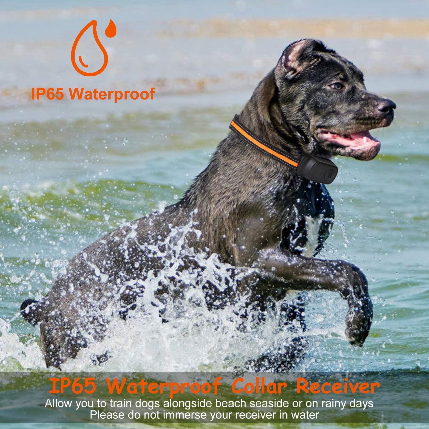 984FT Dog Training Collar – IP65 Waterproof Rechargeable Trainer with Beep, Vibration, Shock, 3 Channels & Safety Lock ACS48