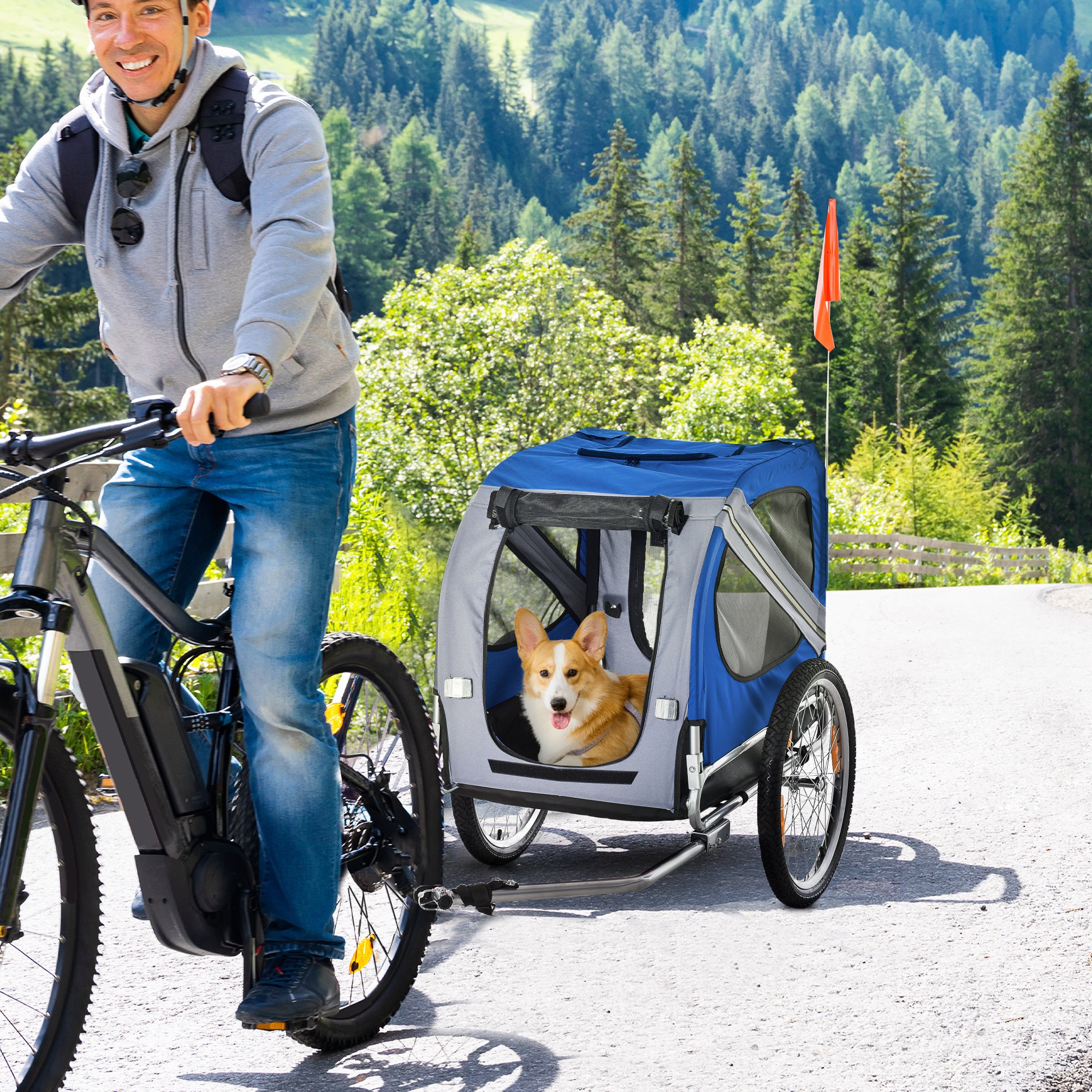 Bicycle Trailers & Pet Carts