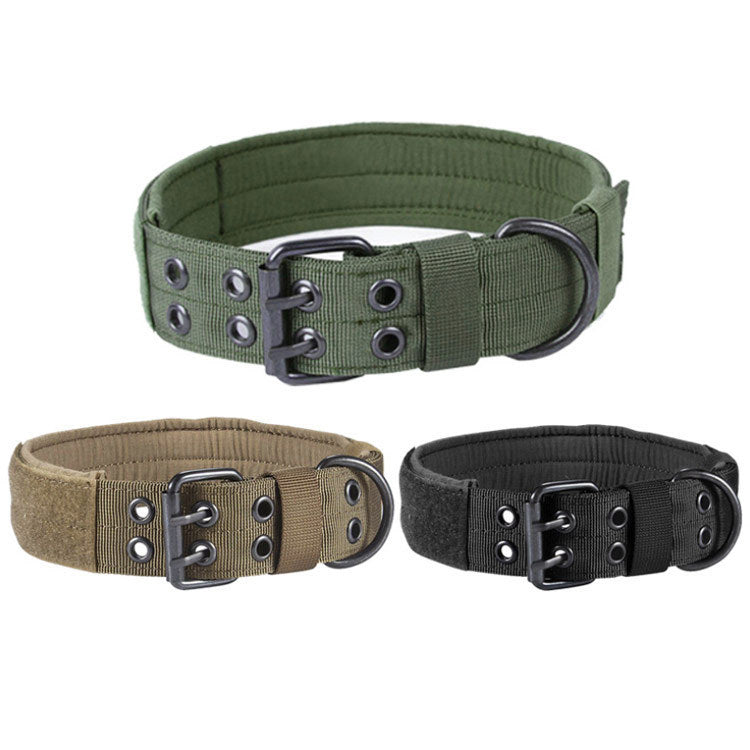 Nylon Anti-Grind Dog Collar with Leash – Durable & Chew-Resistant Pet Walking Set COL8
