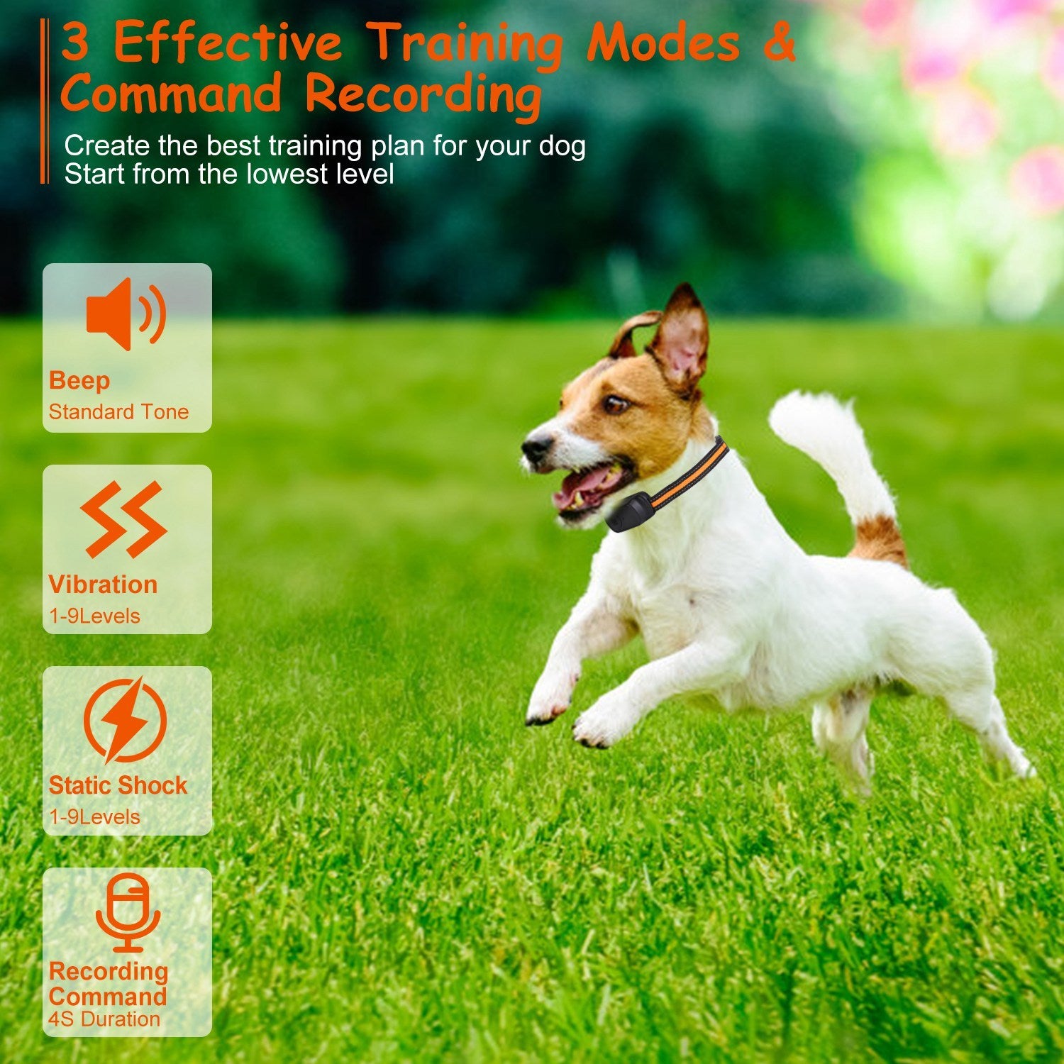 984FT Dog Training Collar – IP65 Waterproof Rechargeable Trainer with Beep, Vibration, Shock, 3 Channels & Safety Lock ACS48