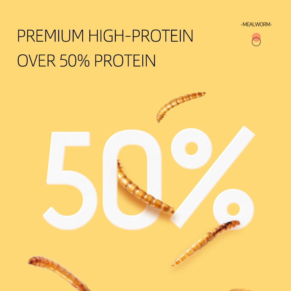 Feeding Dried Mealworms for Small Pets – High-Protein Natural Treat for Birds, Hamsters, Reptiles & Fish (5g Pack)