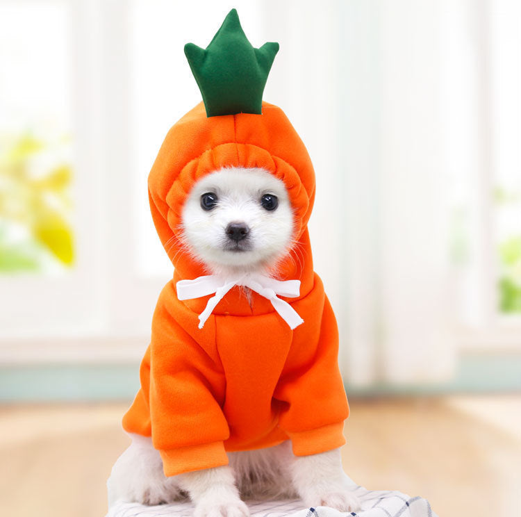 Cute Fruit Dog Hoodie – Winter Warm Fleece Outfit for Small Dogs & Cats, Frenchie & Chihuahua Coat CLS