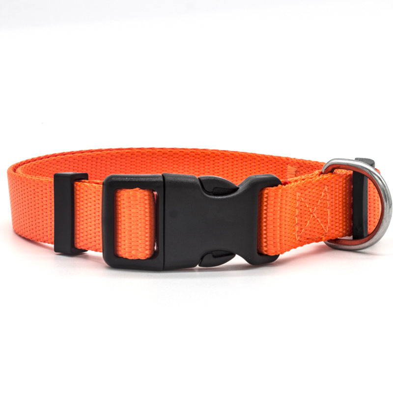 Adjustable New Pet Collar – Comfortable Everyday Neck Strap for Cats & Dogs COL3