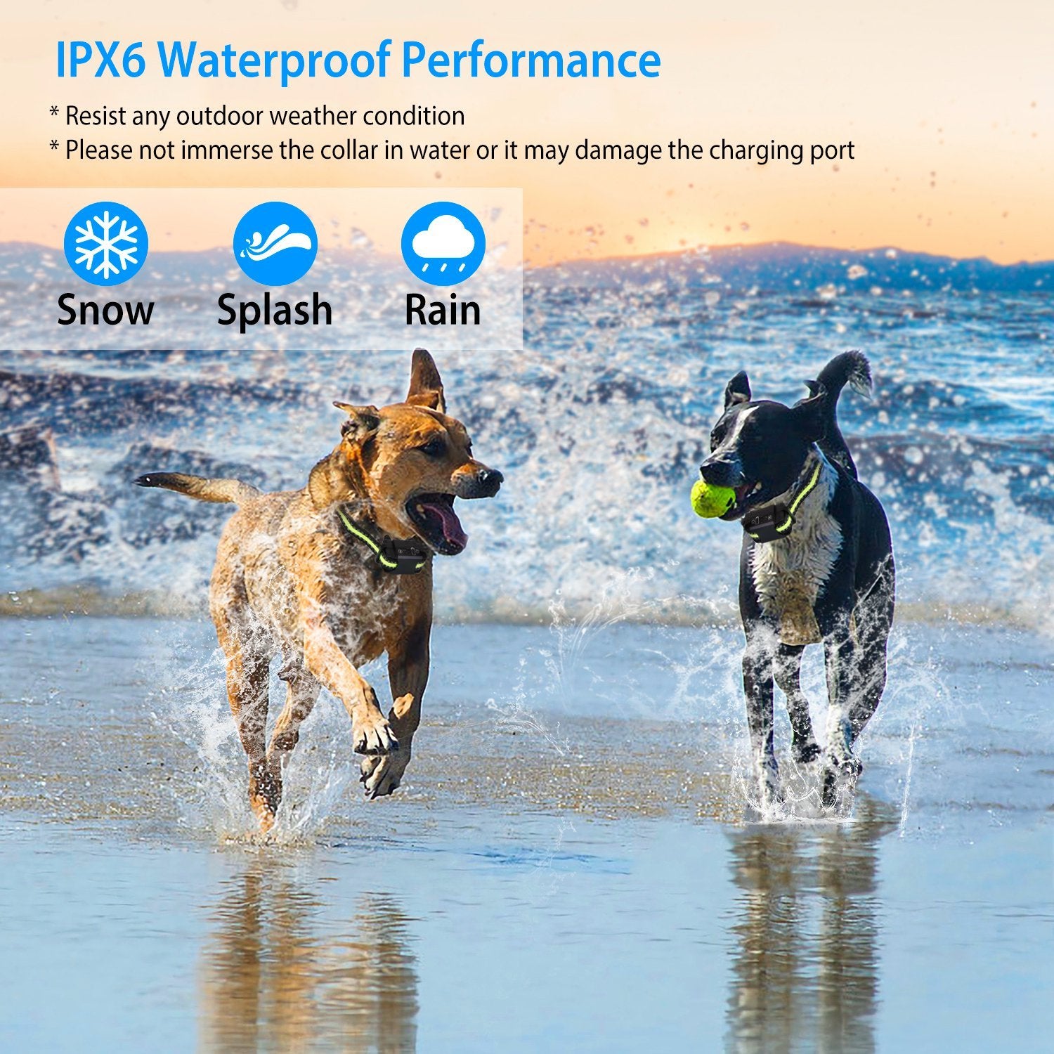 Rechargeable Dog Bark Collar – Waterproof Anti-Bark Device with Beep, Vibration, Static & 6 Intensity Levels, Dual Modes ACS50
