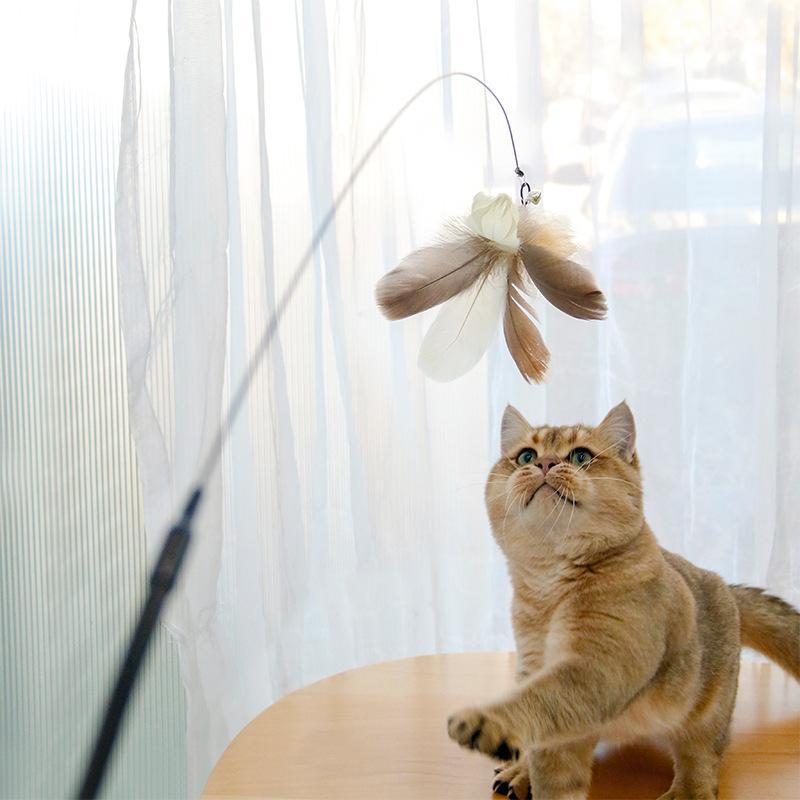 Retractable Laser Cat Toy Wand – Interactive Teaser Stick with Toy Balls, Safe & Non-Toxic Material for Kittens & Cats