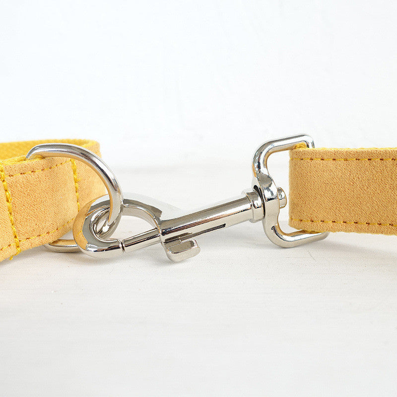 Nala Dog Collar with Traction Rope – Durable Pet Leash for Safe Walks & Drinking & Feeding Areas COL 12