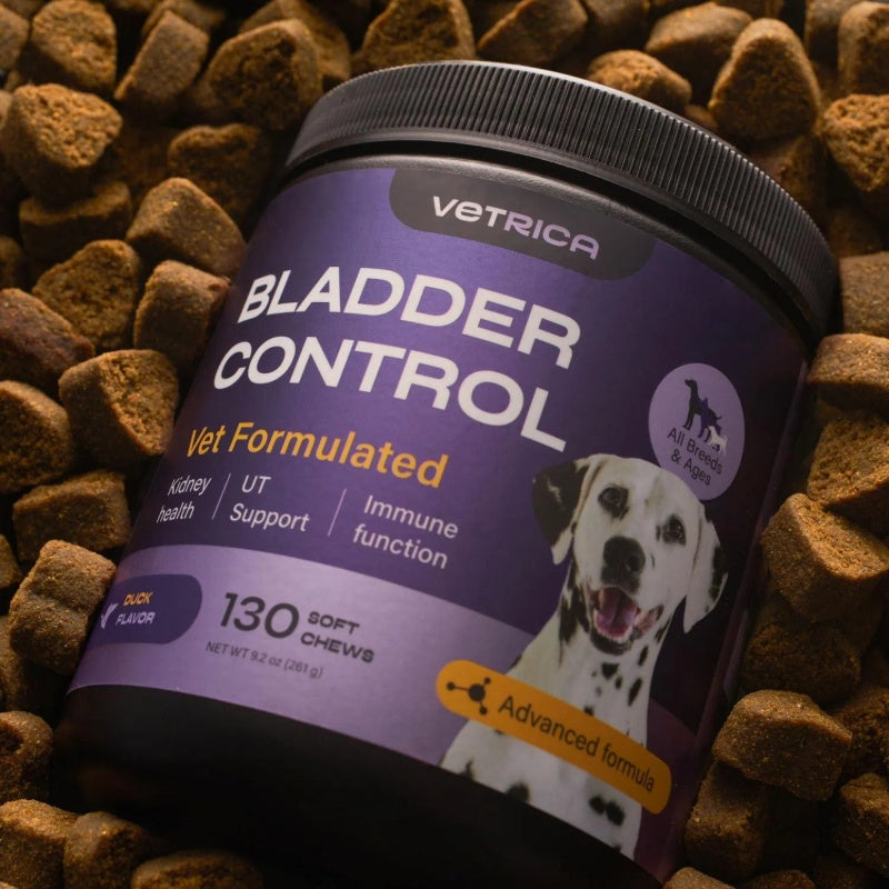 Feeding Dog UTI Treatment Chews – Duck Flavor Cranberry & D-Mannose Supplement for Bladder Control, Urinary Tract & Kidney Health, Incontinence Relief