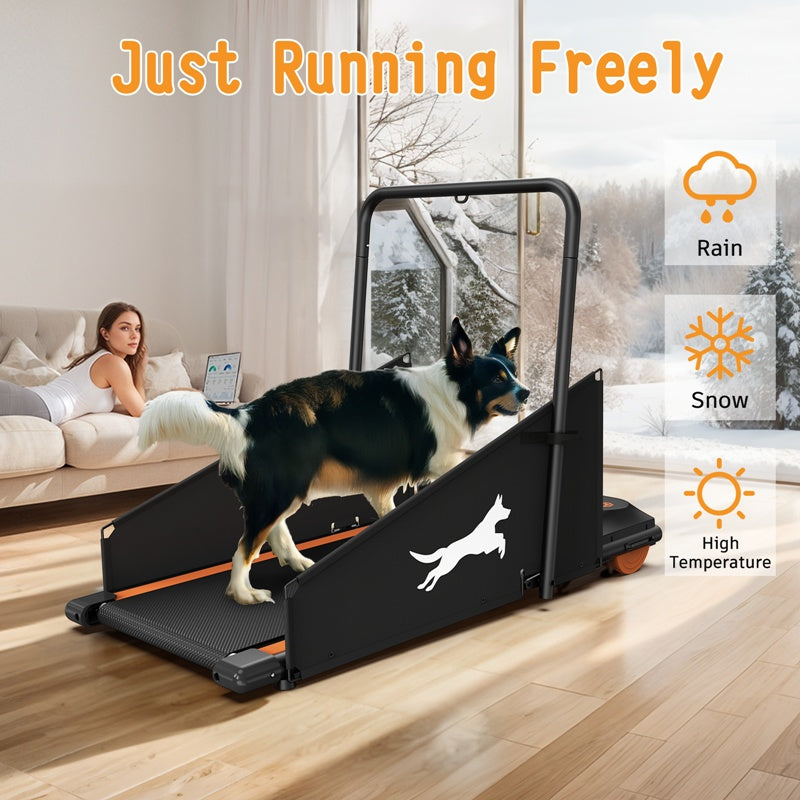 Dog Treadmill for Small & Medium Dogs – Indoor Running & Walking Machine for Healthy, Fit Pets ACS21