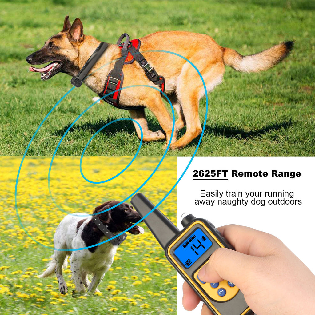 Rechargeable Dog Training Collar with Remote – IP67 Waterproof, 875-Yard Range, 4 Modes, Adjustable Levels ACS44