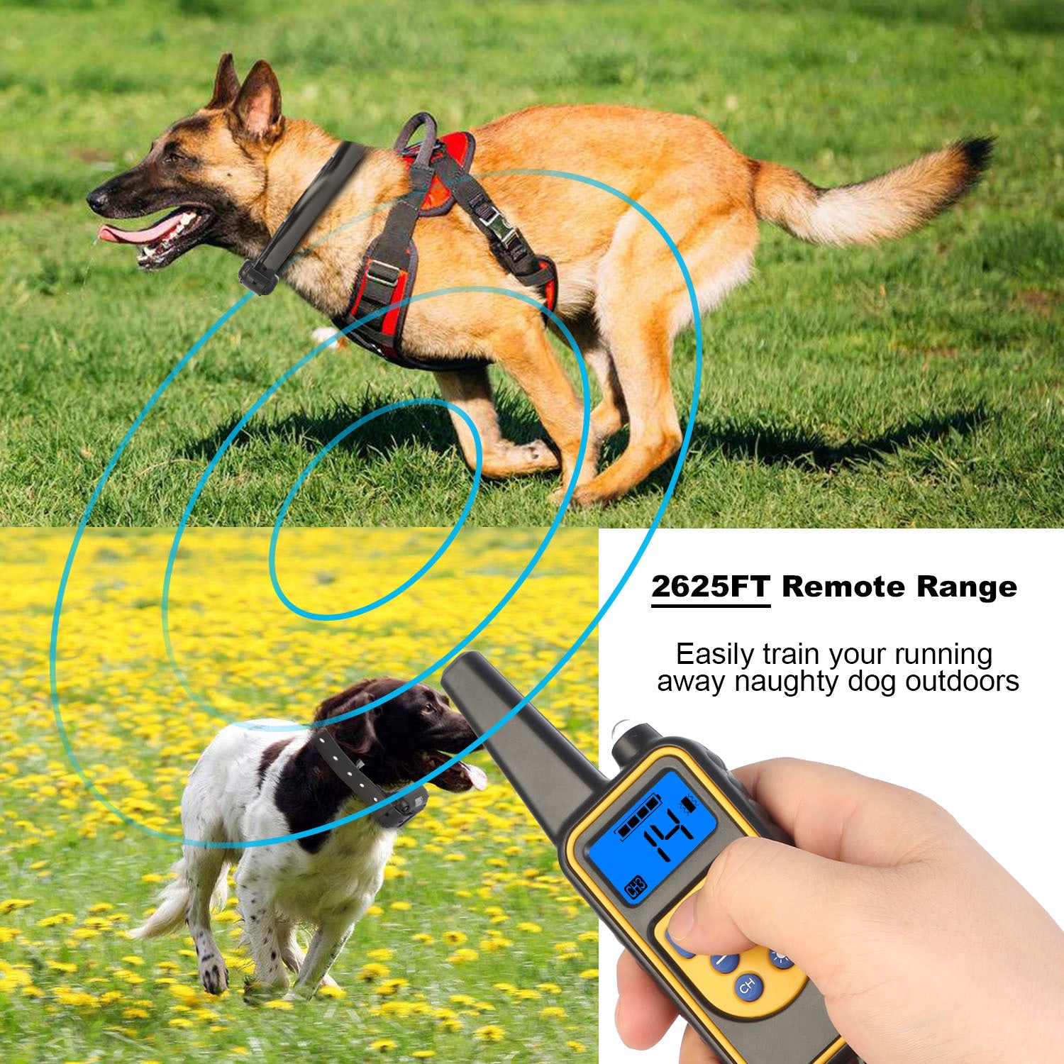 Rechargeable Dog Training Collar with Remote – IP67 Waterproof, 875-Yard Range, 4 Modes, Adjustable Levels ACS44