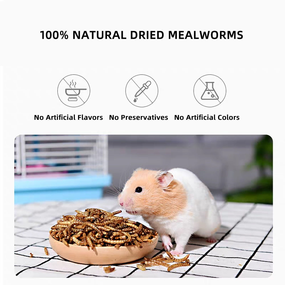Feeding Dried Mealworms for Small Pets – High-Protein Natural Treat for Birds, Hamsters, Reptiles & Fish (5g Pack)