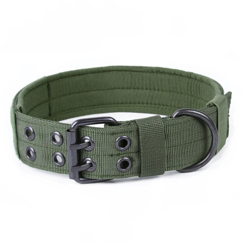 Nylon Anti-Grind Dog Collar with Leash – Durable & Chew-Resistant Pet Walking Set COL8