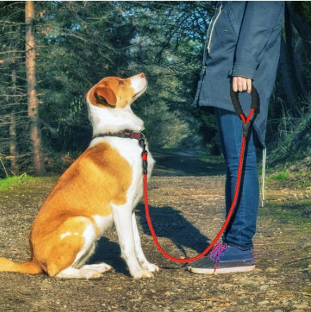 Reflective Nylon Dog Leash – Durable Walking & Training Rope for Small, Medium & Large Dogs COL2