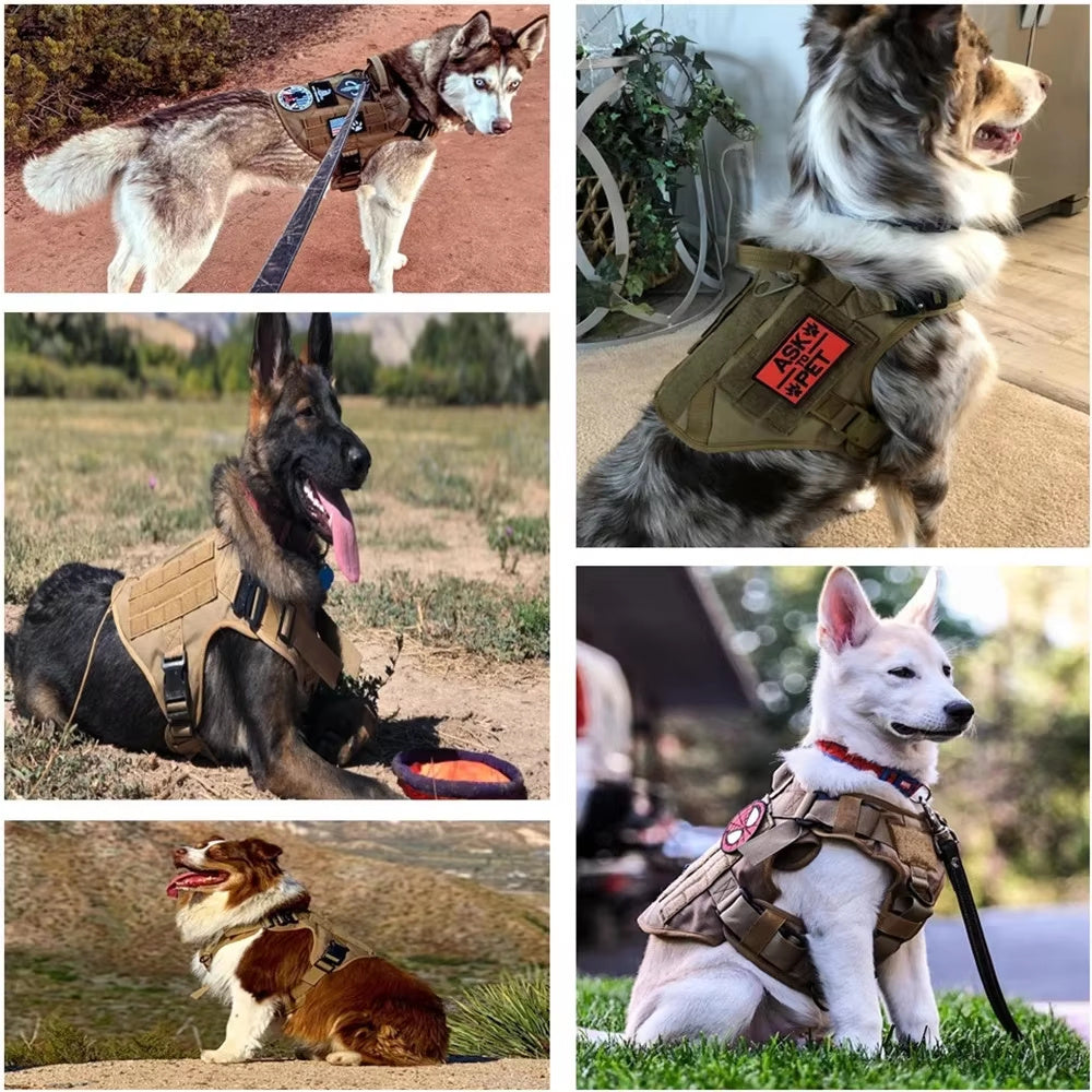 Luxury Camouflage Dog Harness & Leash Set – Durable Nylon Chest Strap for Pets COL7