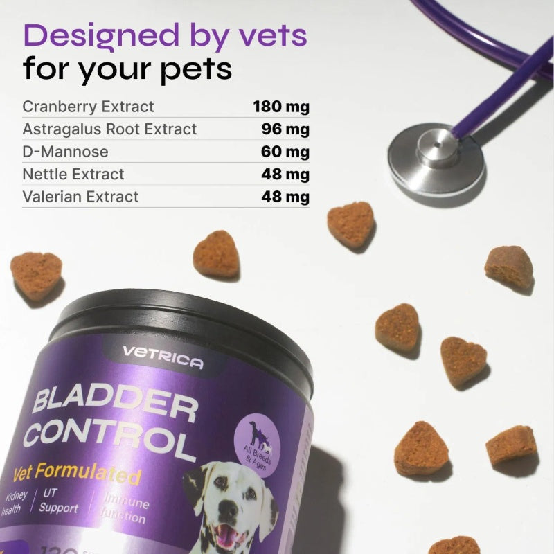 Feeding Dog UTI Treatment Chews – Duck Flavor Cranberry & D-Mannose Supplement for Bladder Control, Urinary Tract & Kidney Health, Incontinence Relief