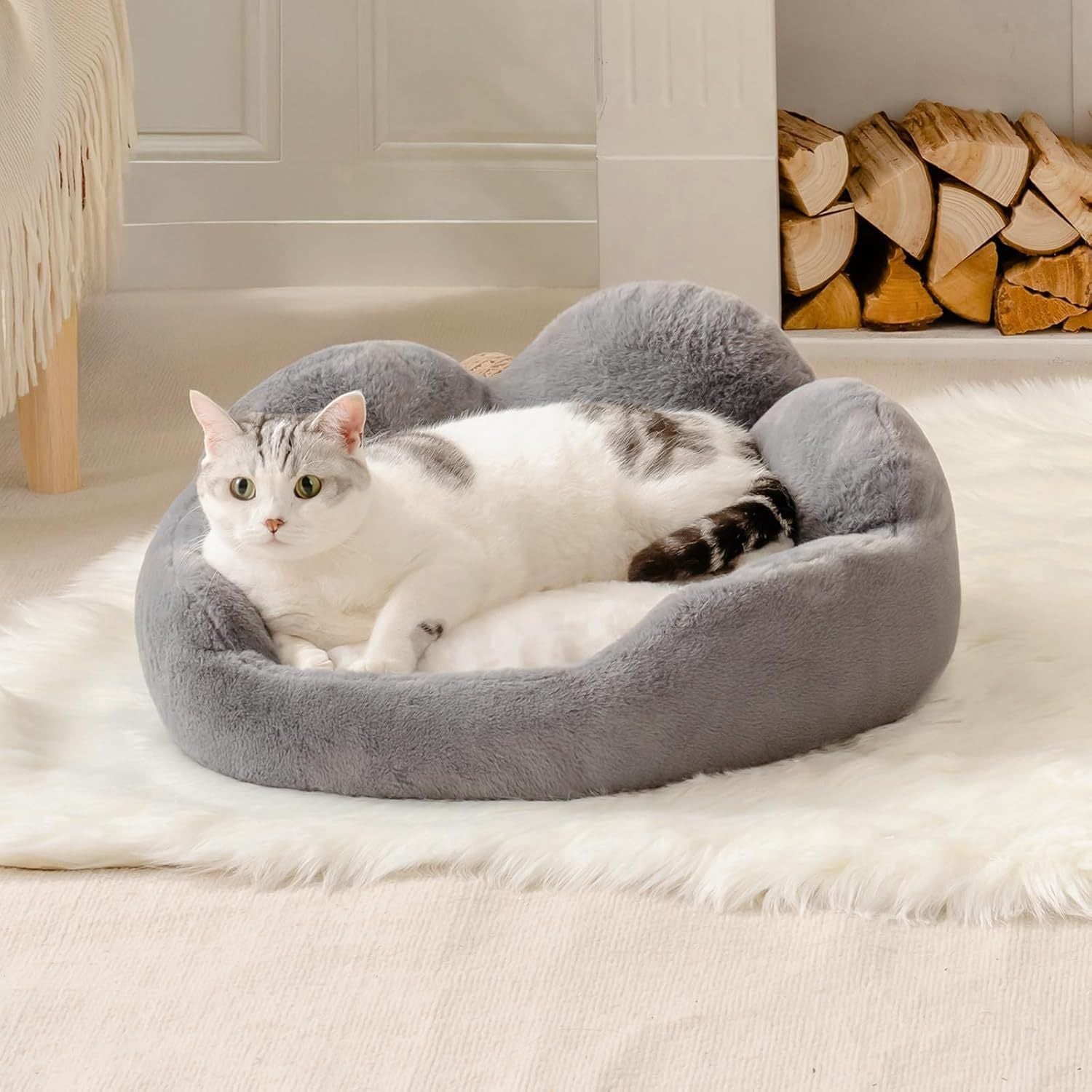 Flower Cat & Small Dog Bed – Fluffy, Washable Couch with Non-Slip Bottom | Cat Drinking & Feeding – bed26