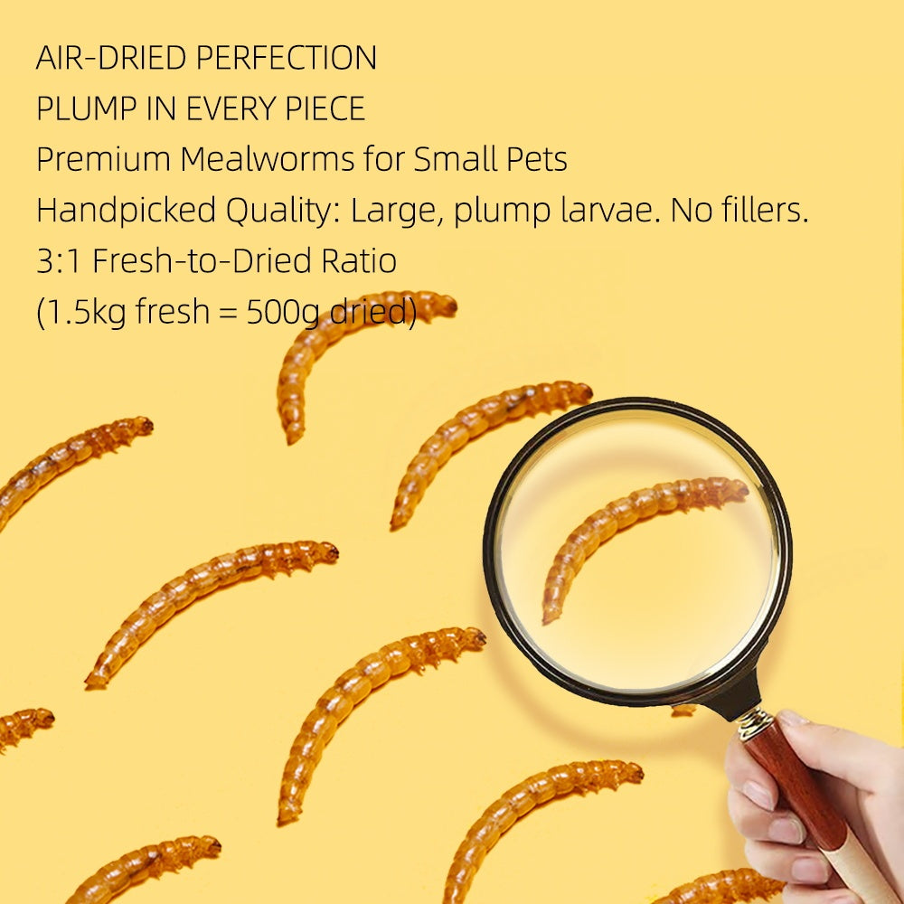 Feeding Dried Mealworms for Small Pets – High-Protein Natural Treat for Birds, Hamsters, Reptiles & Fish (5g Pack)