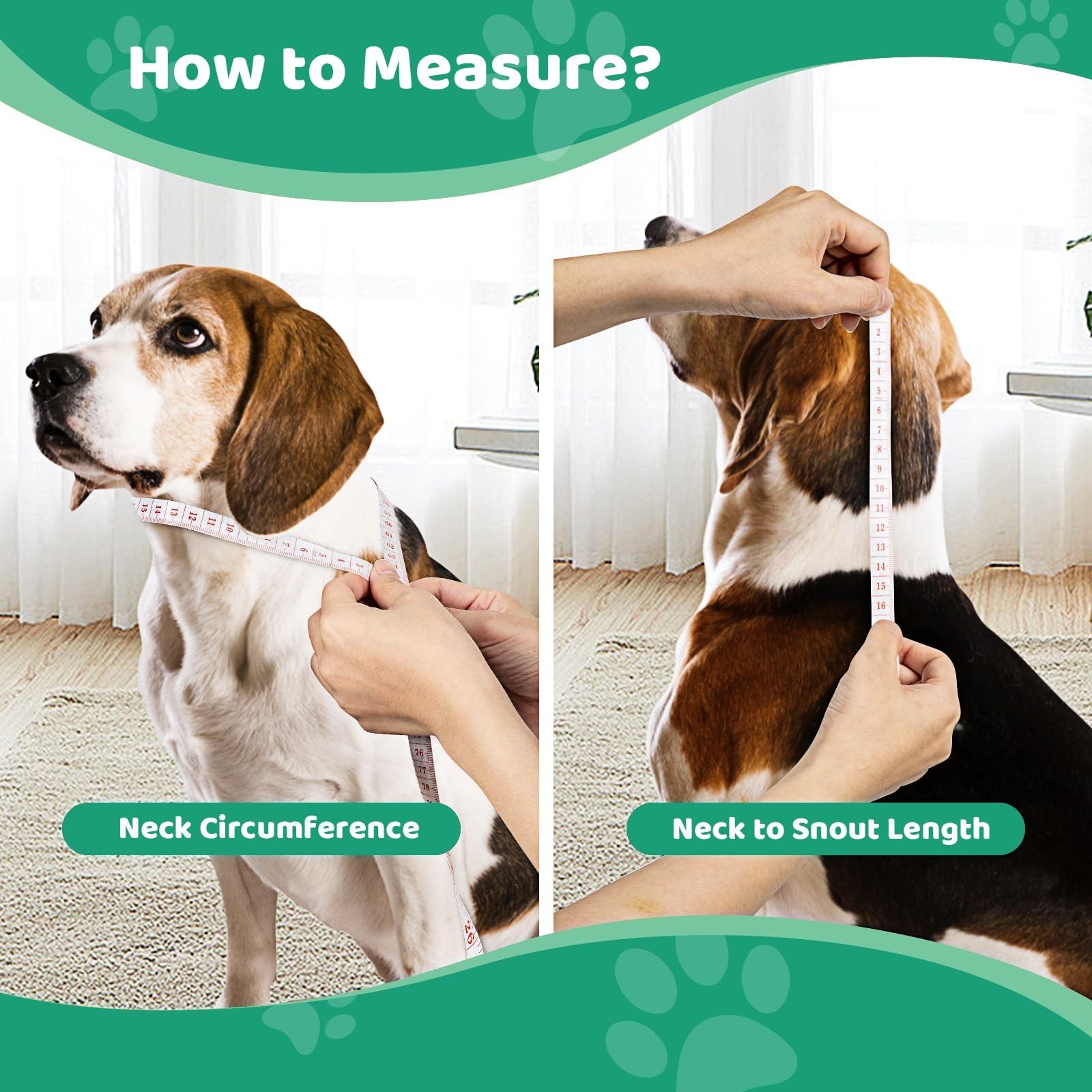 Single-Layer Elizabethan Collar for Pets – Soft Protective Recovery Cone, Size M ACS36