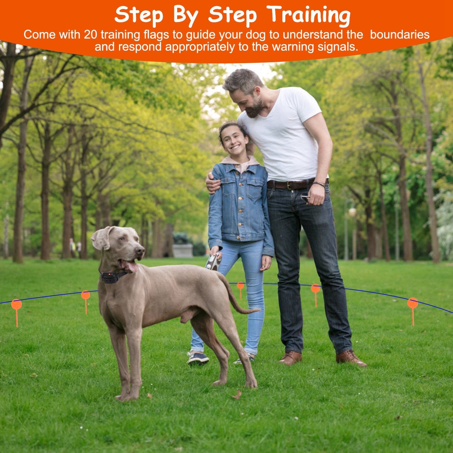 Underground Dog Fence System – 100-Level Adjustable IPX7 Waterproof Rechargeable Receiver for Small to Large Dogs ACS52
