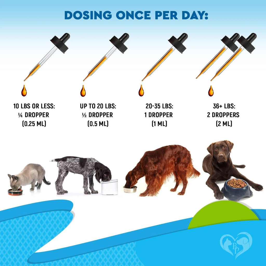 Feeding Natural Kennel Cough Treatment for Dogs & Cats – Respiratory Infection, Cold, Cough & Collapsed Trachea Relief, Cat Asthma Support