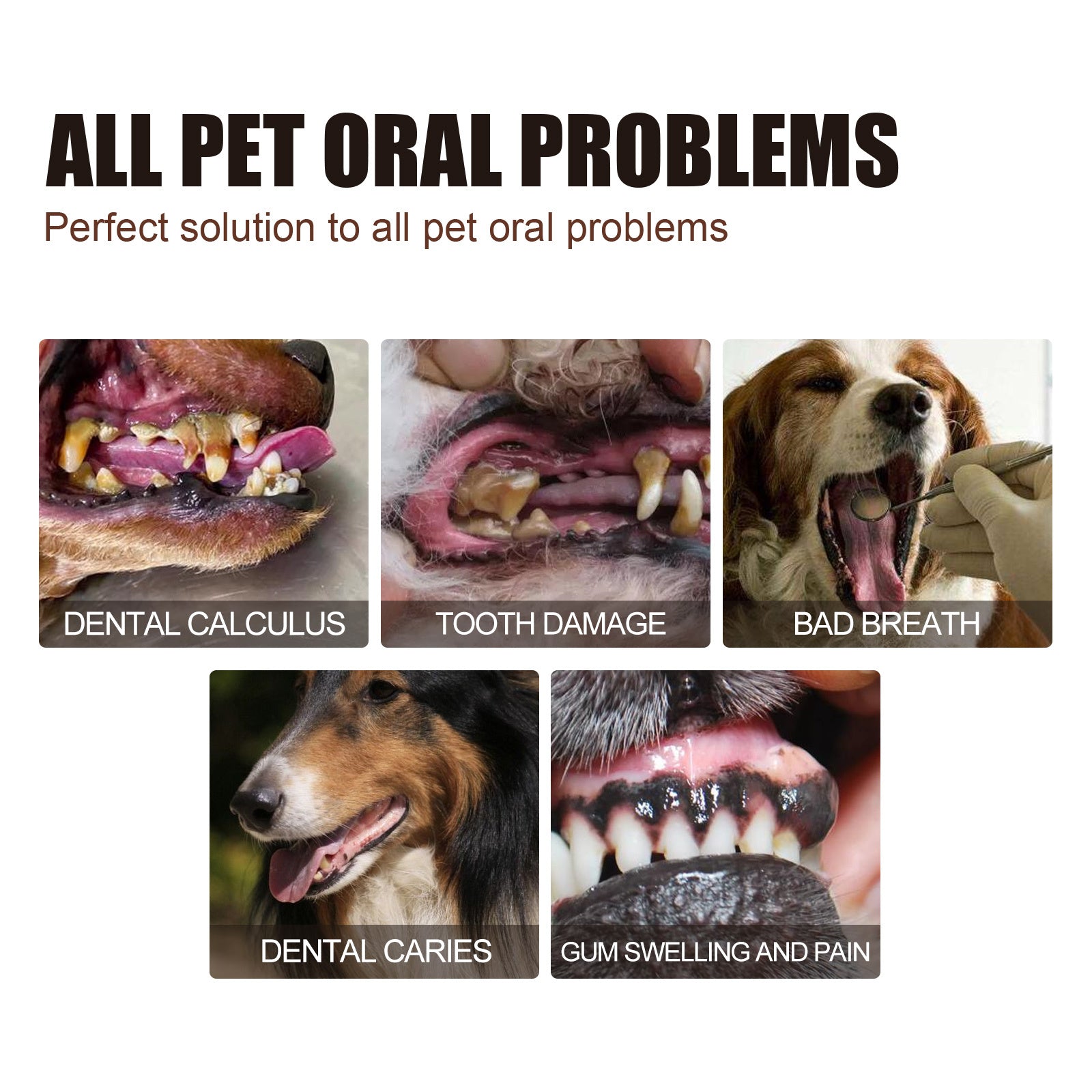 Pet Tooth Cleaning Spray – Fresh Breath & Dental Care for Dogs and Cats care 23