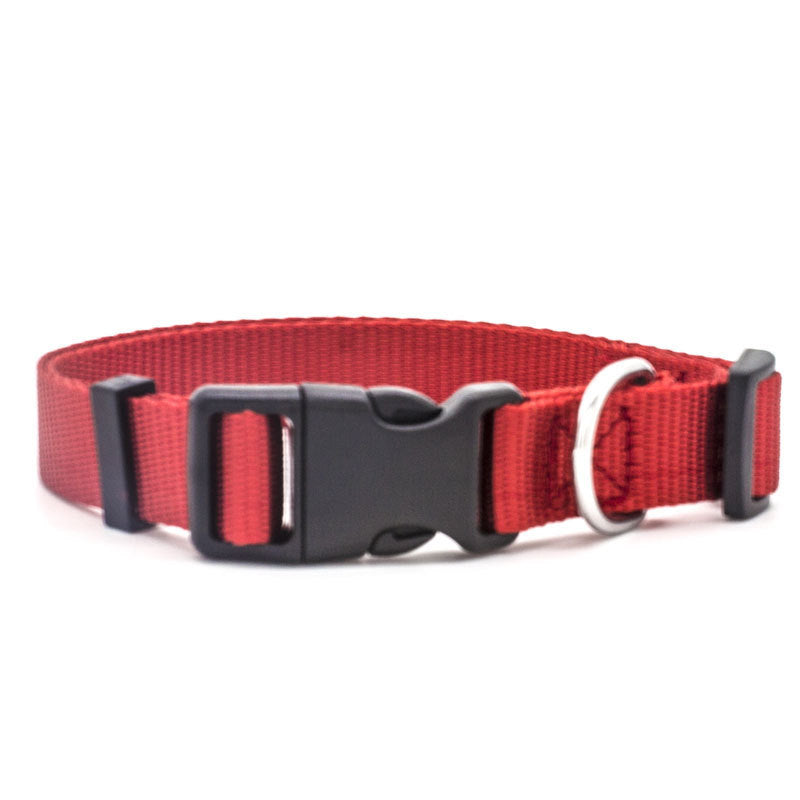 Adjustable New Pet Collar – Comfortable Everyday Neck Strap for Cats & Dogs COL3