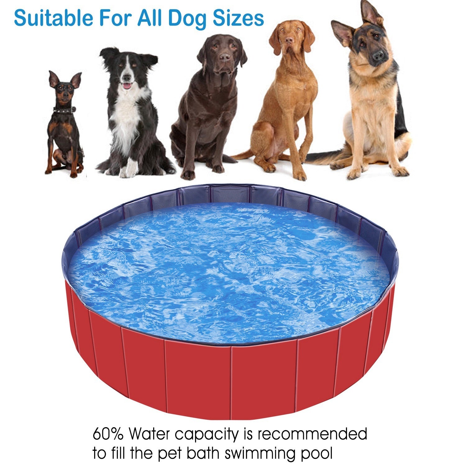 Foldable Pet Swimming Pool (160x160x30cm) – PVC Dog Bathing Tub & Playmat care 49