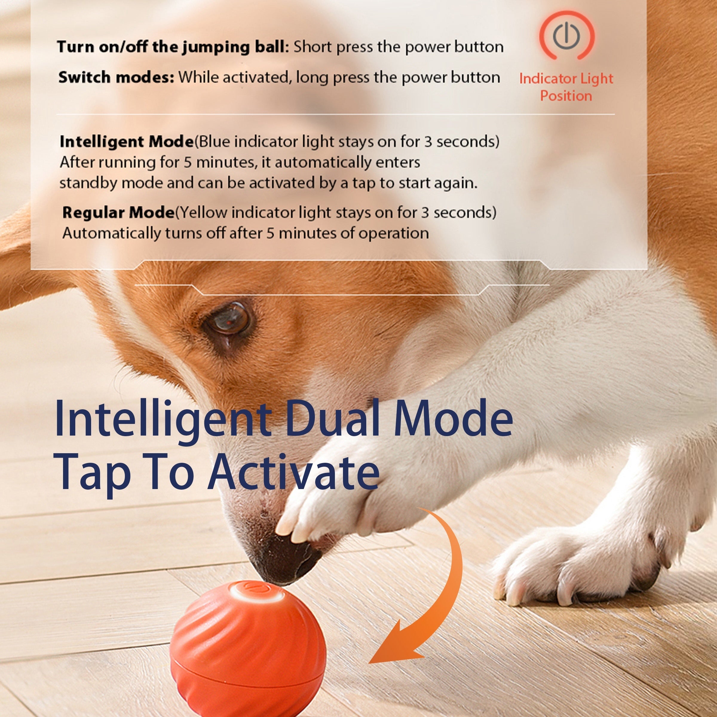 Interactive Bouncing Ball Dog Toy – Smart, USB Rechargeable & Silent