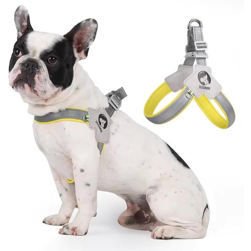 No-Pull Reflective Pet Harness & Leash Set – Adjustable Leather Control Harness for Dogs & Cats COL11