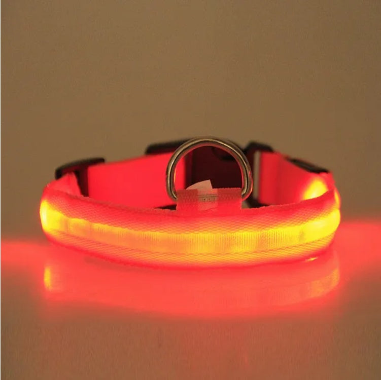 LED Pet Safety Halo Collar – Adjustable Light-Up Night Visibility Collar for Dogs & Cats ACS1