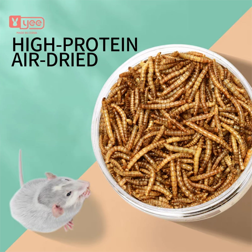 Feeding Dried Mealworms for Small Pets – High-Protein Natural Treat for Birds, Hamsters, Reptiles & Fish (5g Pack)