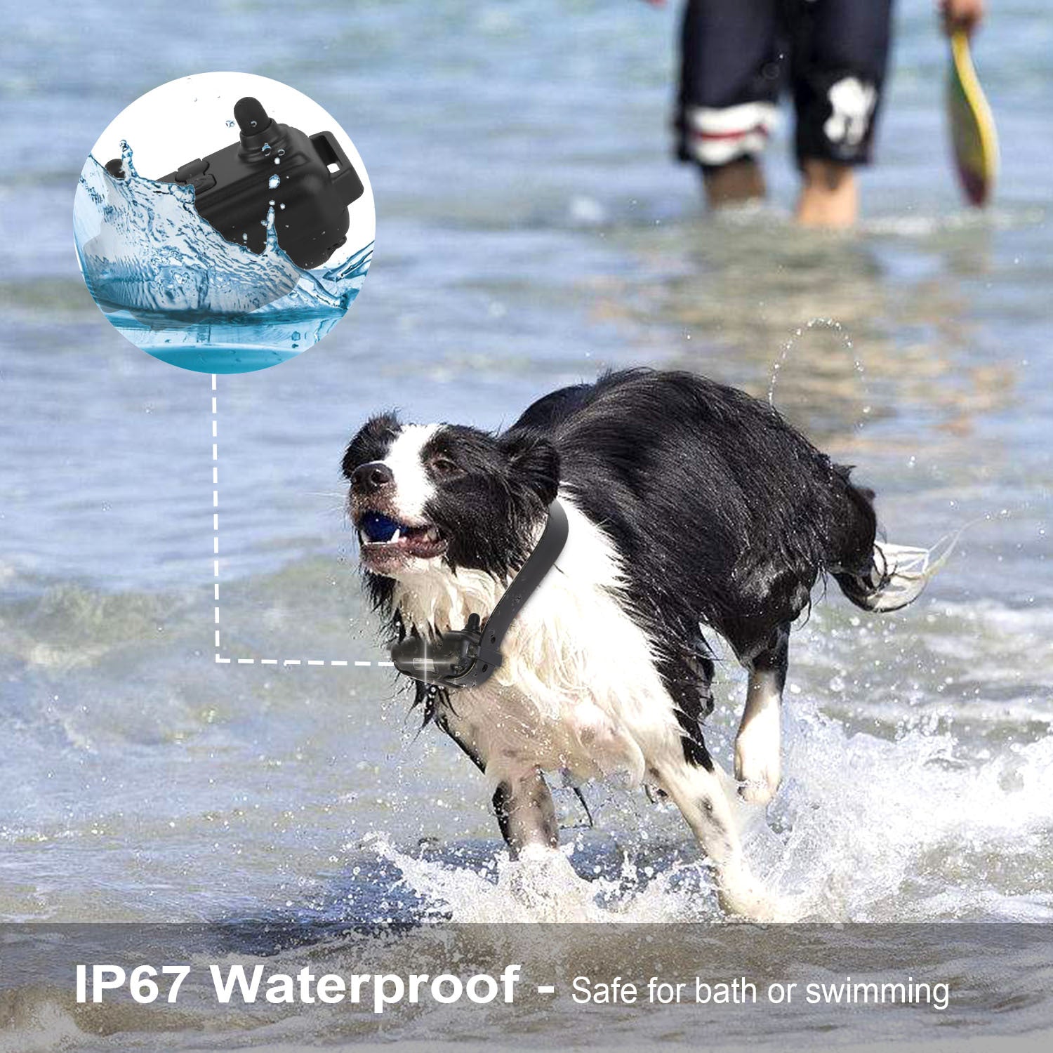 Rechargeable Dog Training Collar with Remote – IP67 Waterproof, 875-Yard Range, 4 Modes, Adjustable Levels ACS44