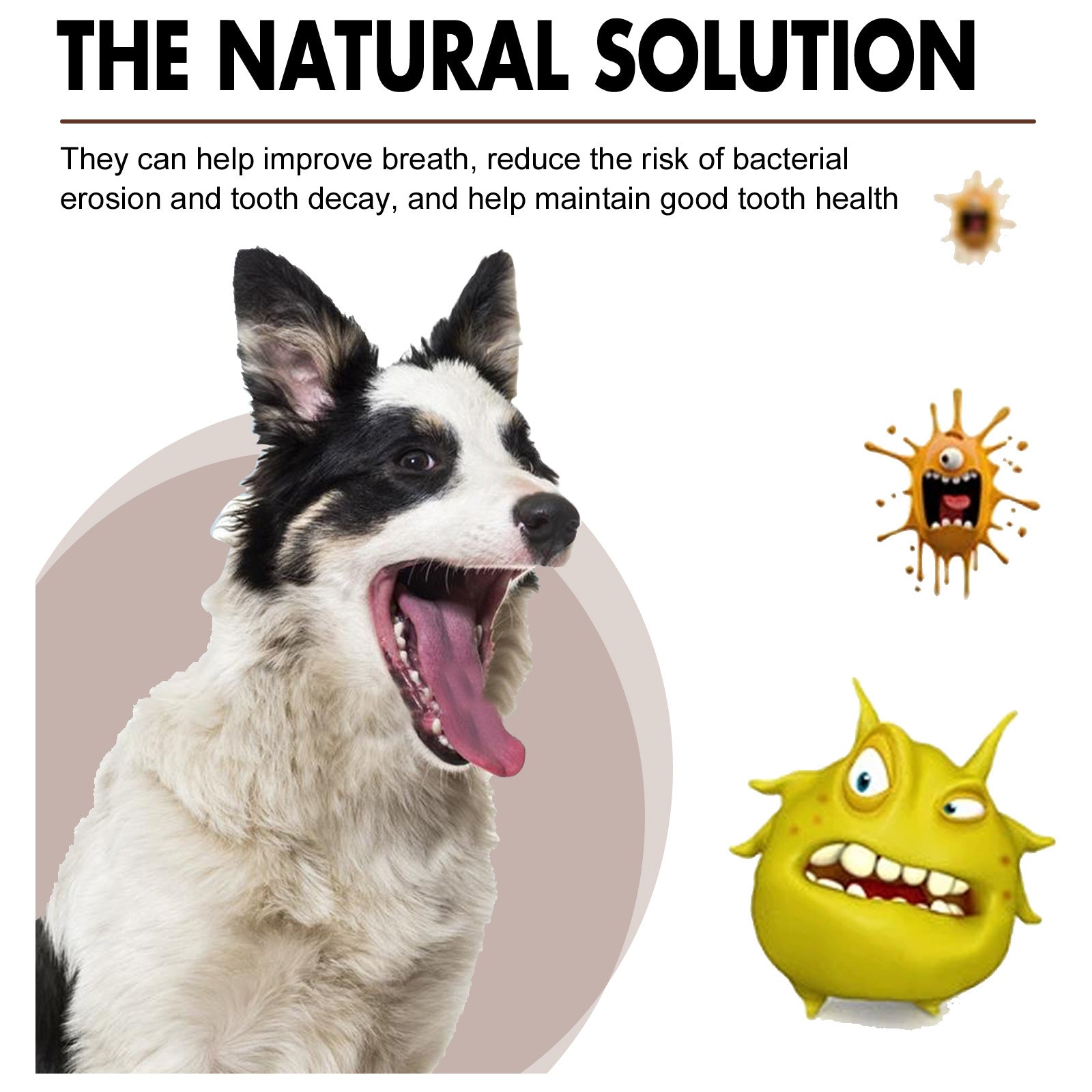 Pet Tooth Cleaning Spray – Fresh Breath & Dental Care for Dogs and Cats care 23