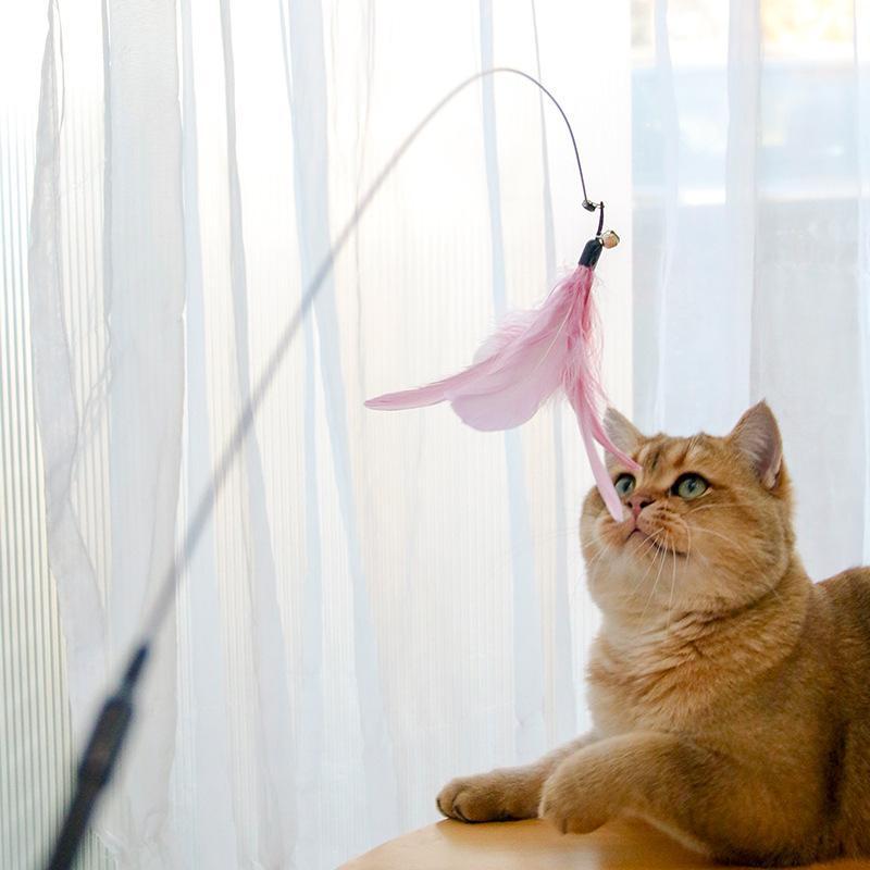 Retractable Laser Cat Toy Wand – Interactive Teaser Stick with Toy Balls, Safe & Non-Toxic Material for Kittens & Cats