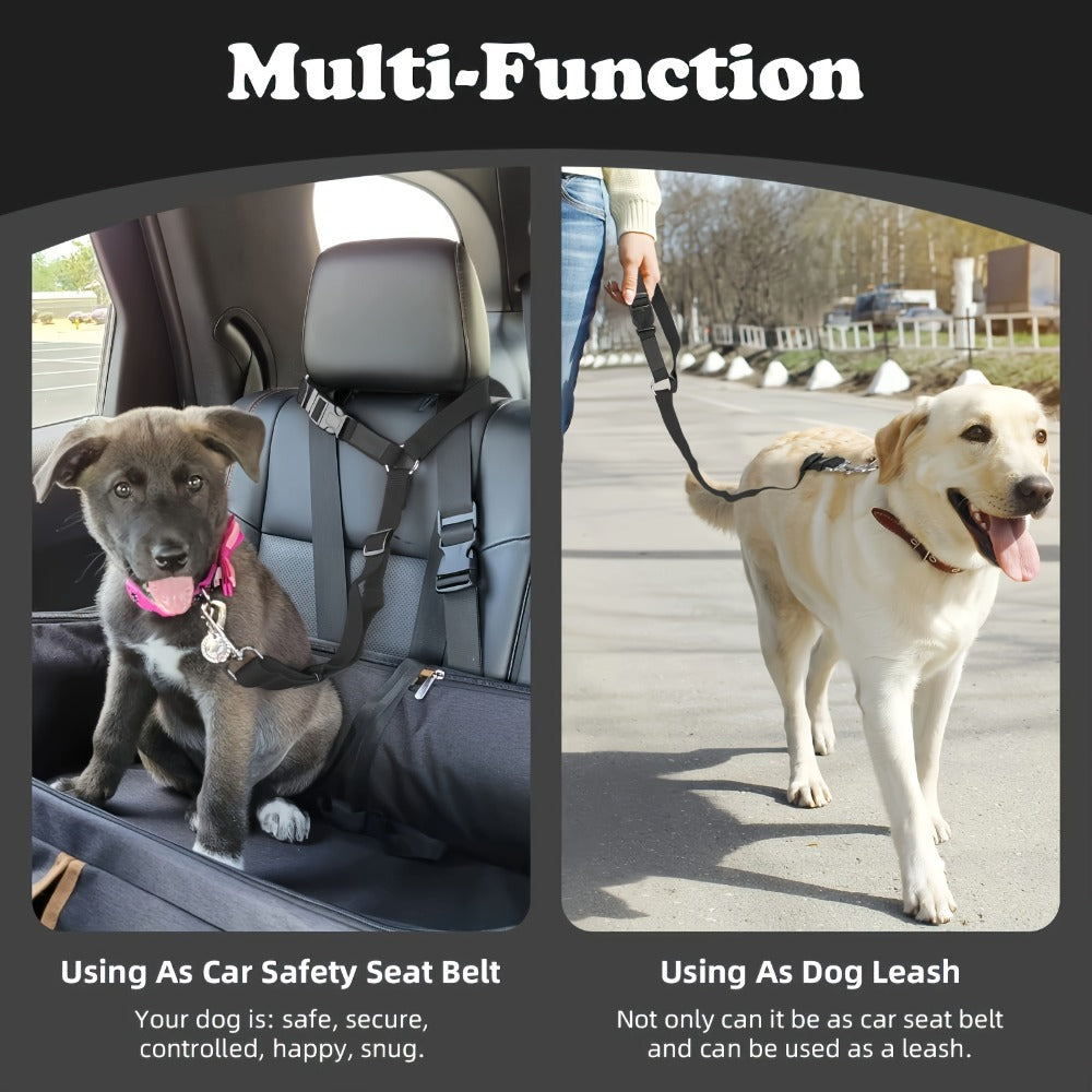 2-Piece Dog Leash Set – Wear-Resistant & Skin-Friendly Pet Harness for Travel, Walking & Drinking & Feeding Areas COL 14