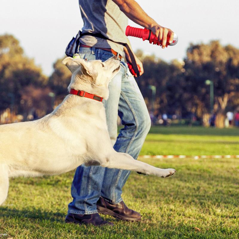 Interactive Dog Toy for Medium & Large Breeds – Durable & Fun Play