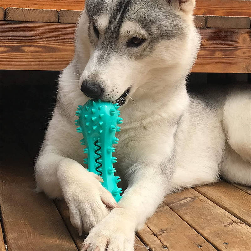Durable Rubber Chew Toy for Aggressive Dogs – Teeth Cleaning Stick