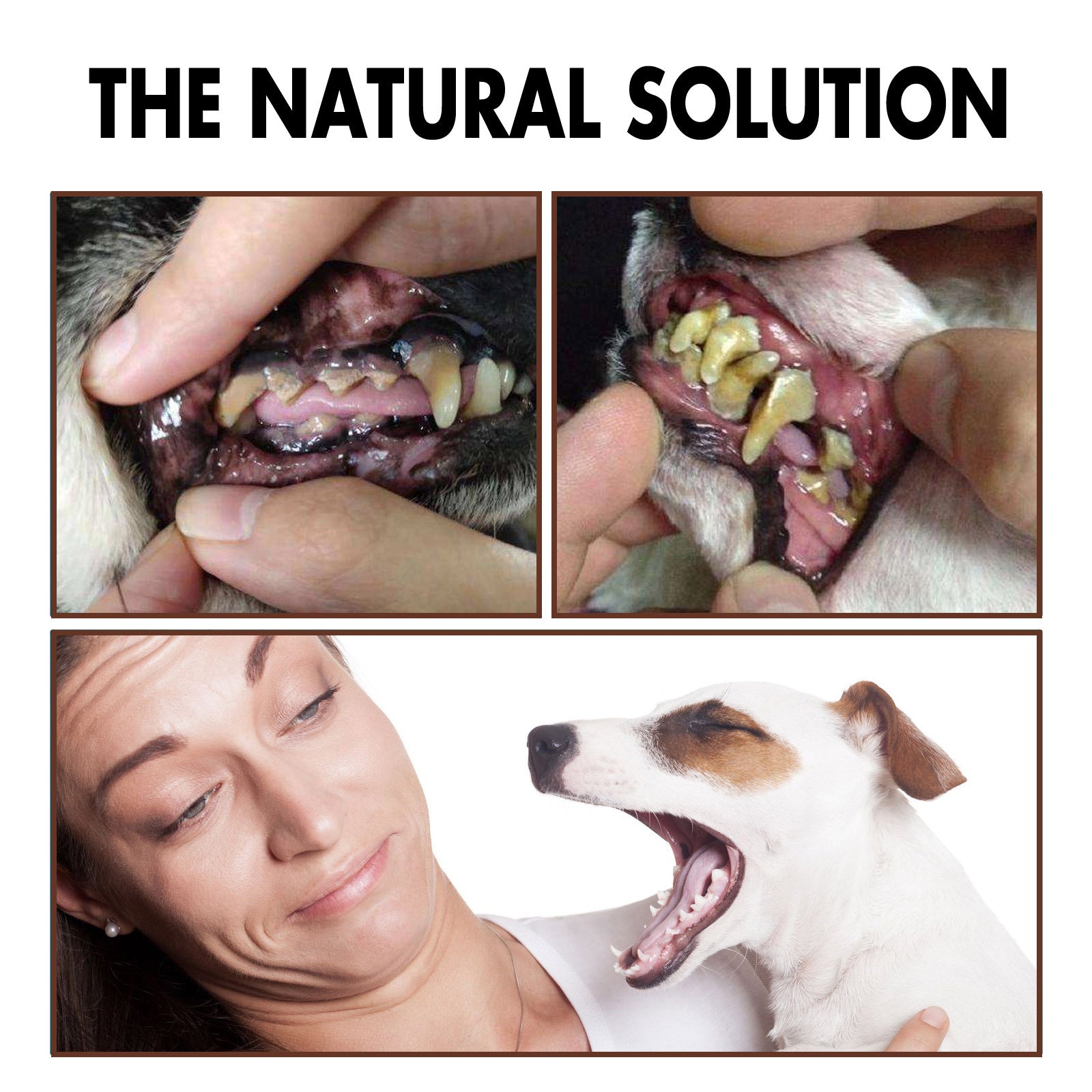 Pet Tooth Cleaning Spray – Fresh Breath & Dental Care for Dogs and Cats care 23