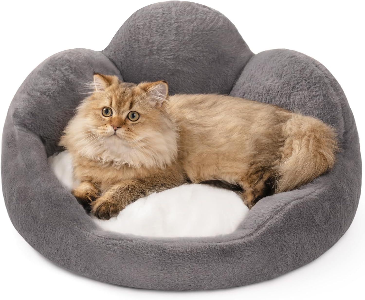 Flower Cat & Small Dog Bed – Fluffy, Washable Couch with Non-Slip Bottom | Cat Drinking & Feeding – bed26