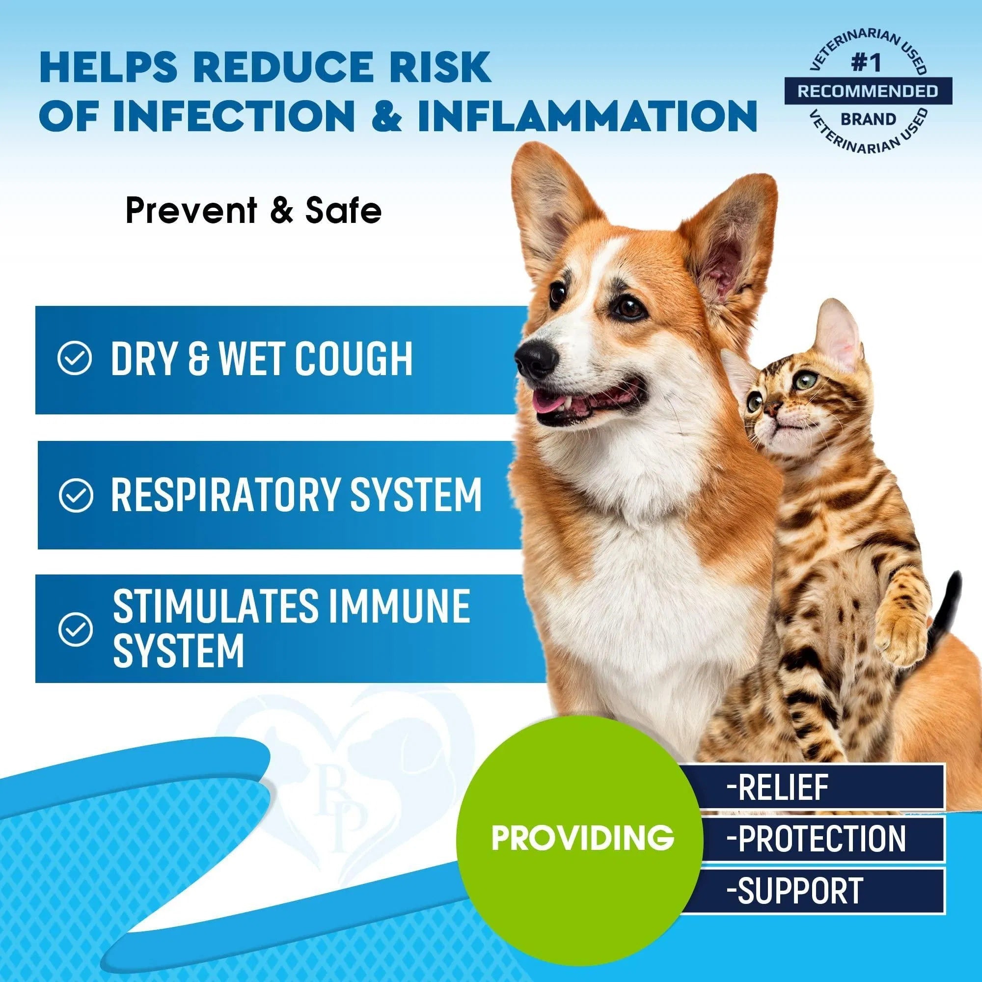 Feeding Natural Kennel Cough Treatment for Dogs & Cats – Respiratory Infection, Cold, Cough & Collapsed Trachea Relief, Cat Asthma Support