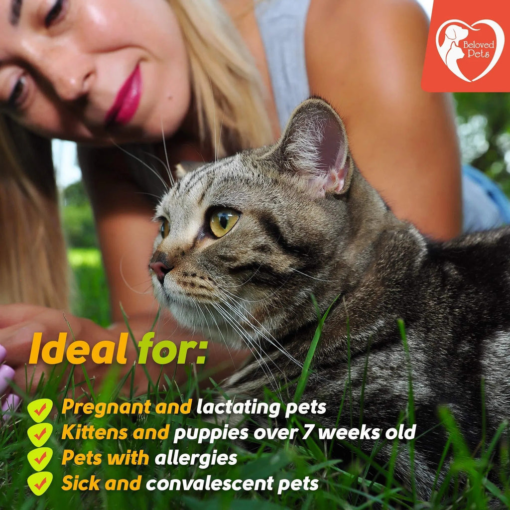 Feeding Natural Flea & Tick Prevention Drops for Dogs, Cats & Rabbits – Topical Mosquito Repellent & Home Pest Control for Small & Large Pets (3 Dose Pack)