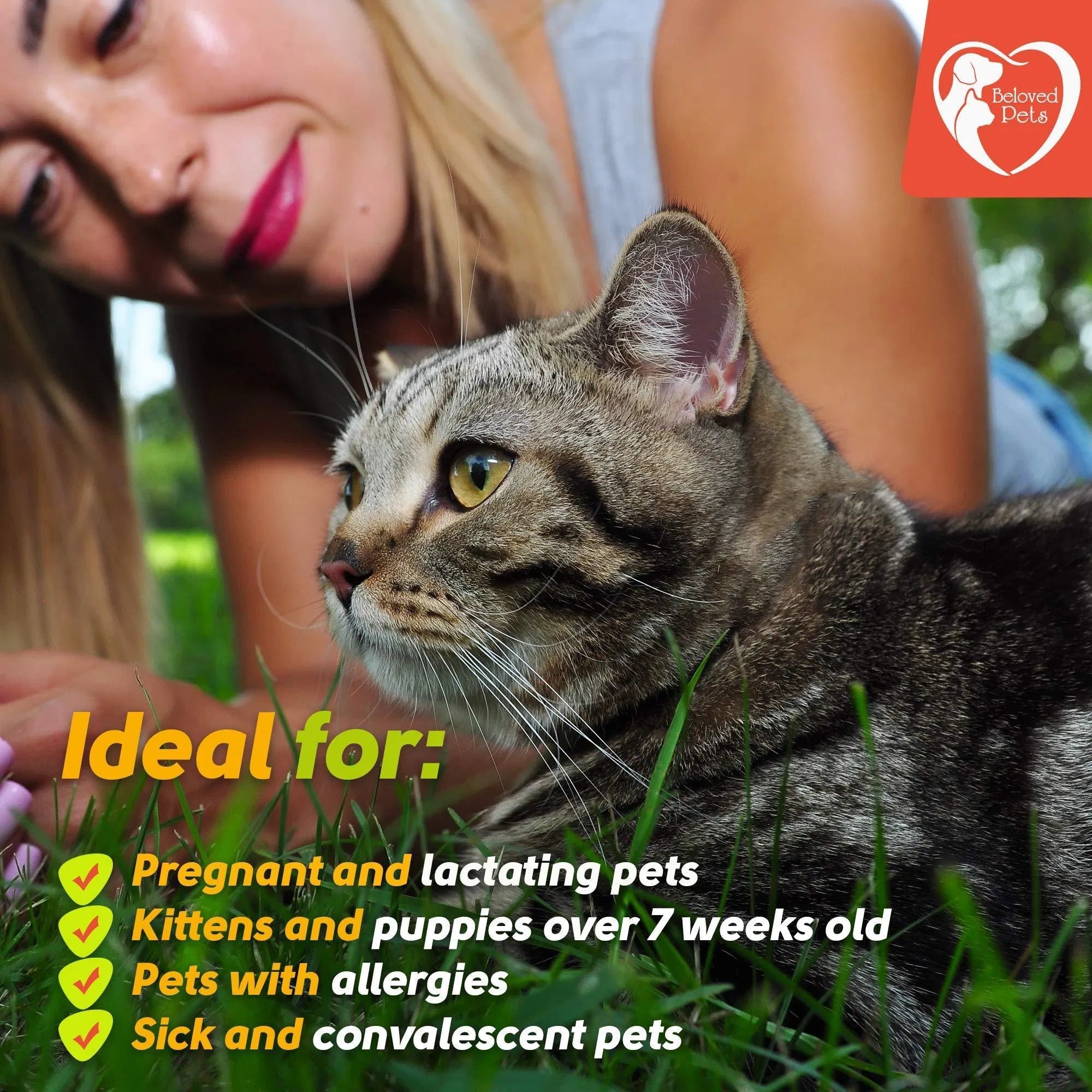Feeding Natural Flea & Tick Prevention Drops for Dogs, Cats & Rabbits – Topical Mosquito Repellent & Home Pest Control for Small & Large Pets (3 Dose Pack)